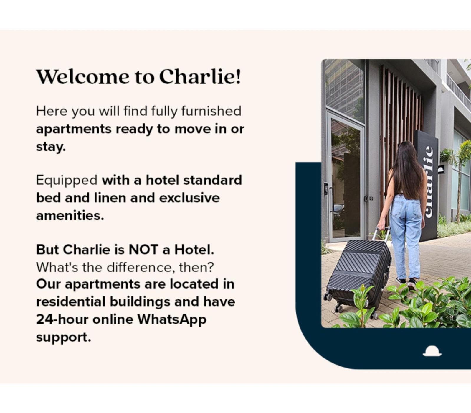 Charlie Franca Jardim Paulista 公寓 *